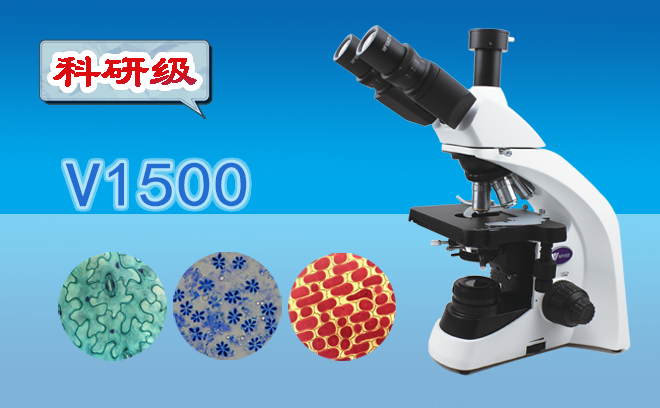 生物国产91视频网站.png